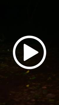 BIB:  <button type="button" onclick="openModal(27808475)" class="btn btn-primary btn-sm float-right" data-toggle="modal" data-target=".modal-high-quality">
                <i class="fa fa-download"></i> Download
                </button>